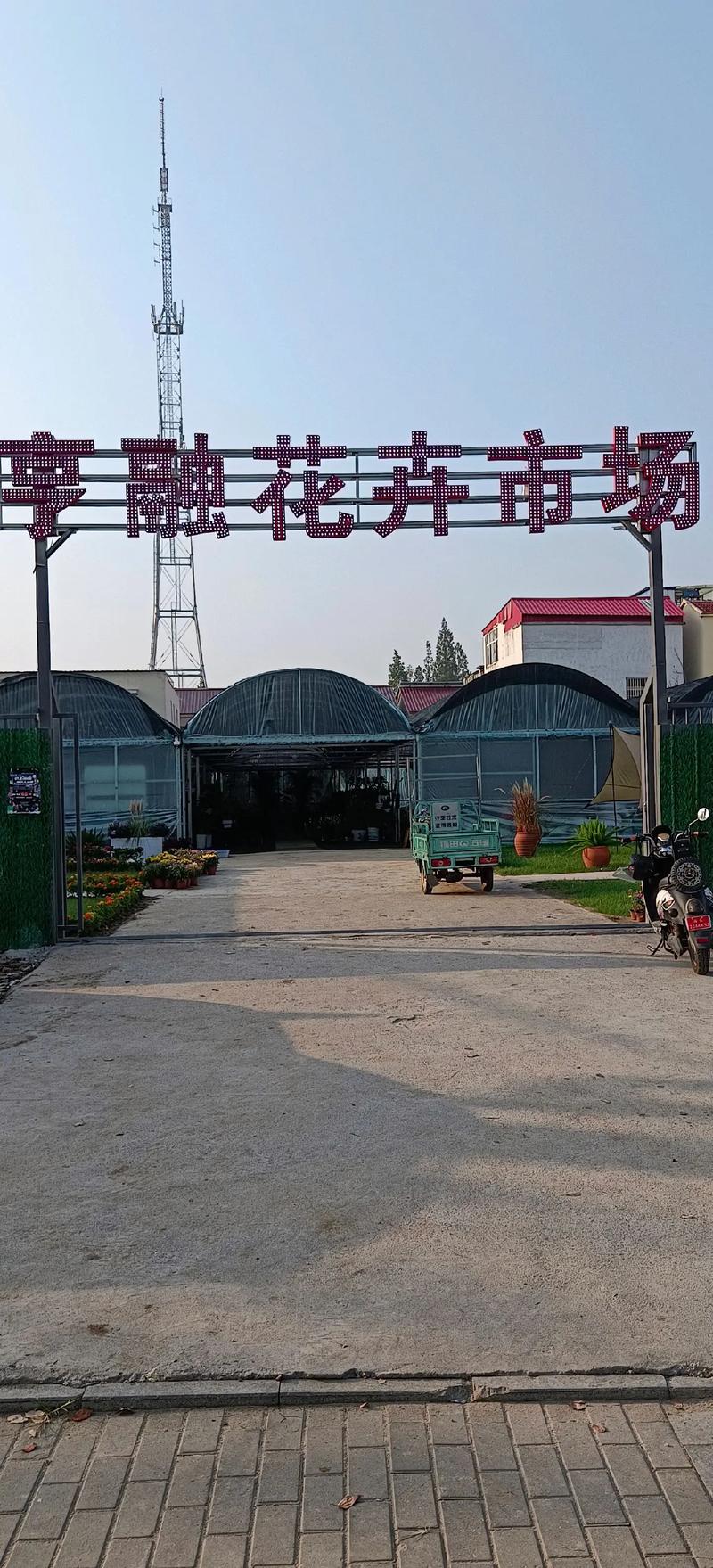 灌云采购批发